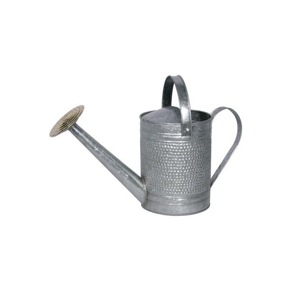 Robert Allen James GAL Galv WTR Can MPT01191 - main